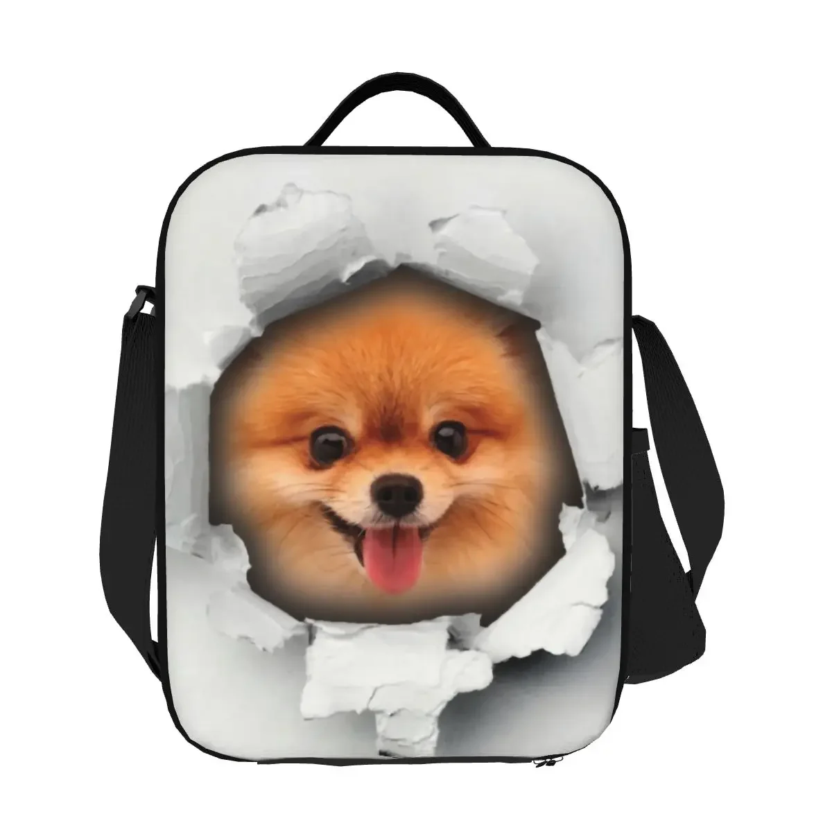 Милая померанская собака в отверстие изолированные сумки для обеда школы офиса