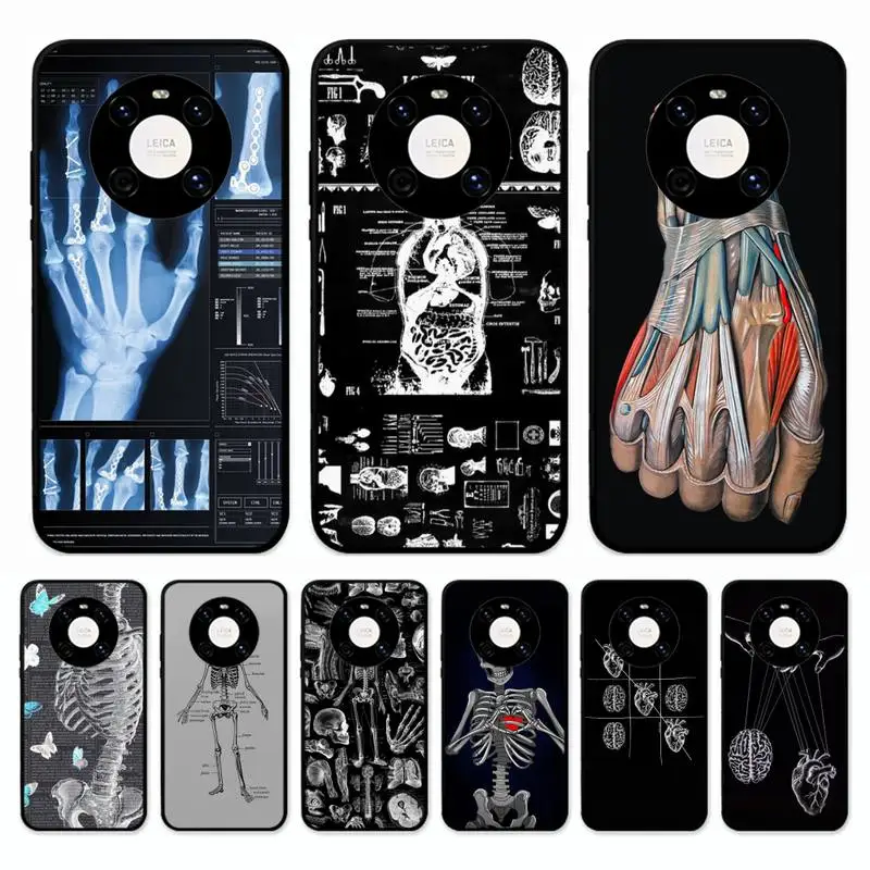 

Radiological human organs Skeleton skull art Phone Case for Huawei Mate 20 10 9 40 30 lite pro X Nova 2 3i 7se