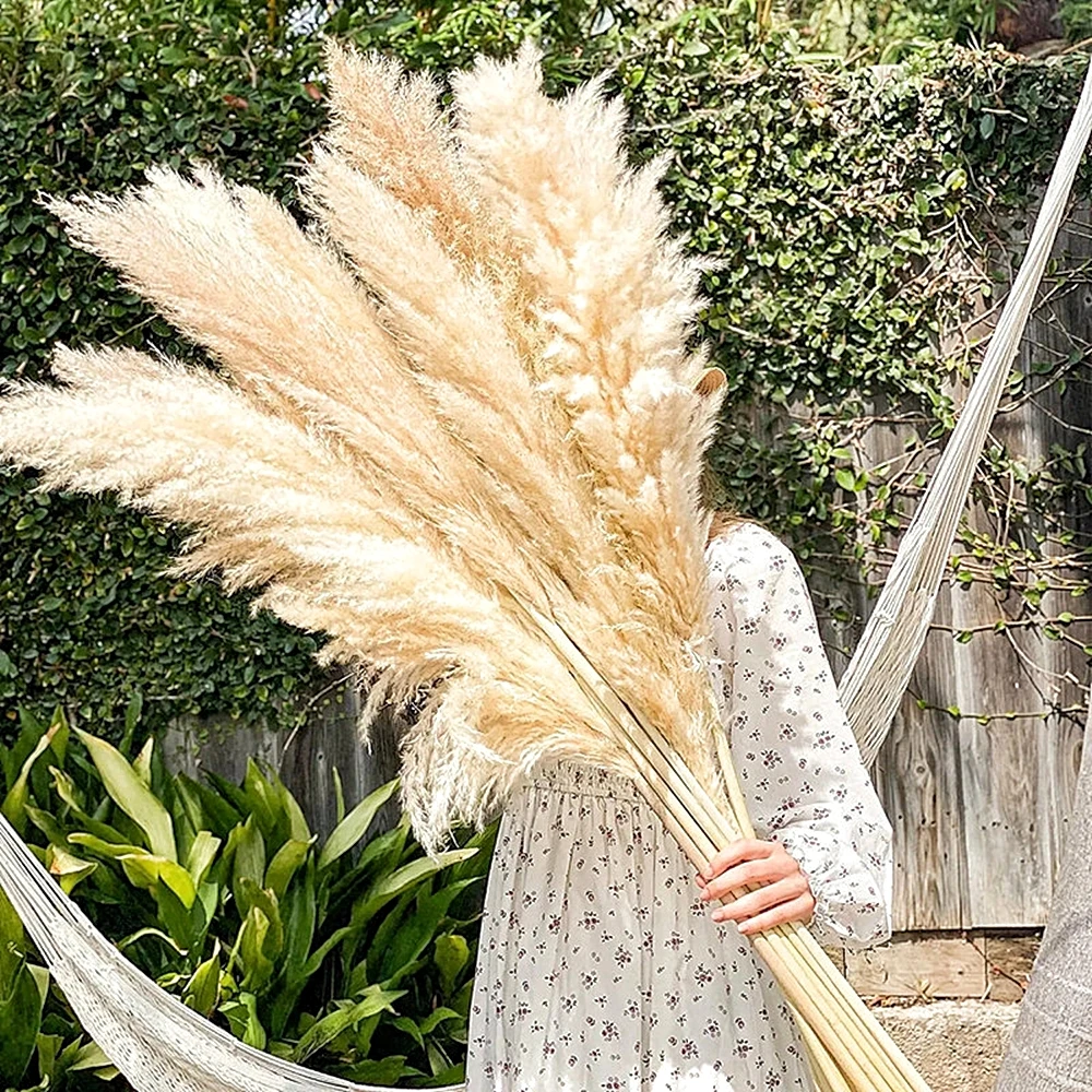 Большая сушеная пампасная трава 110 - 120 см пушистая оптовая продажа домашний декор
