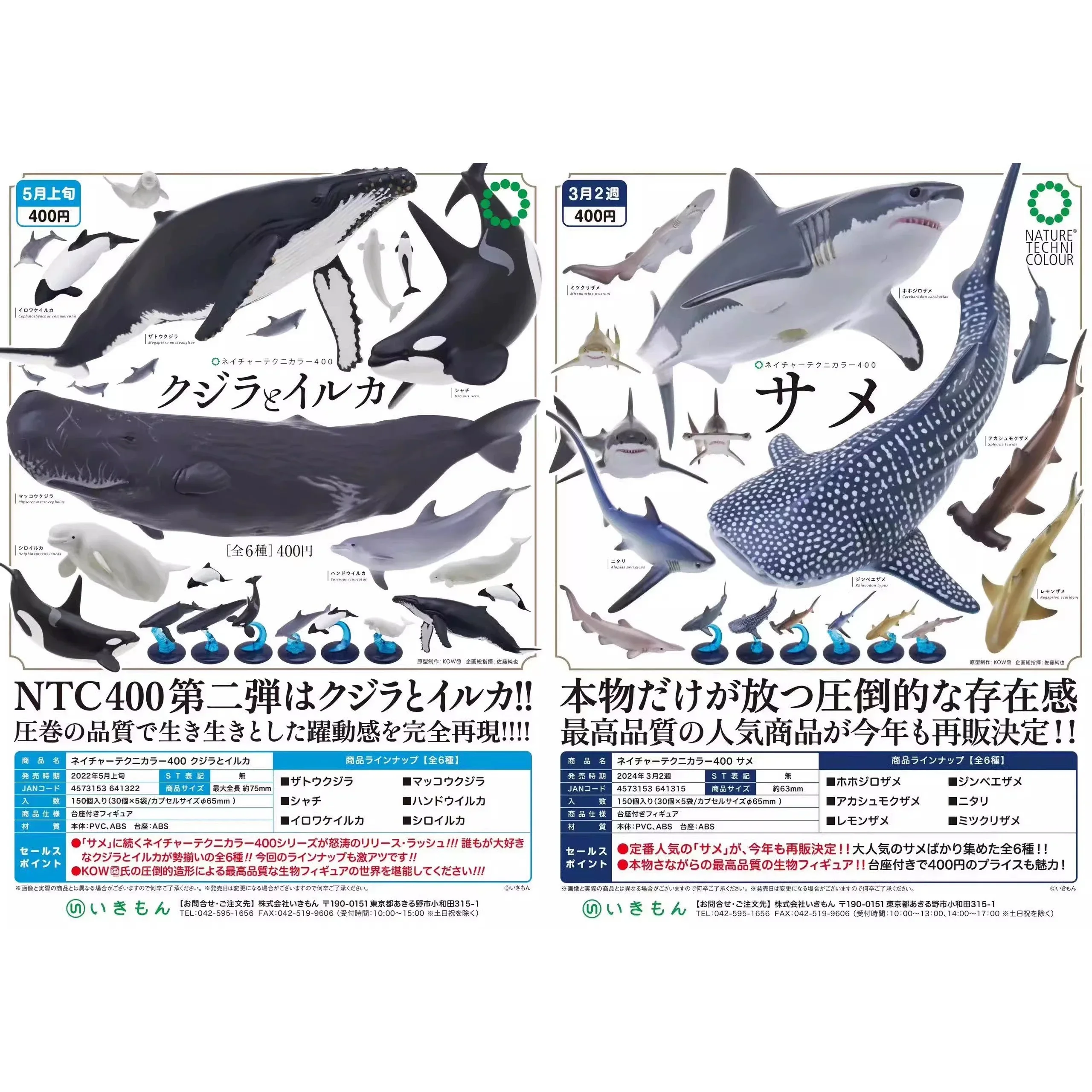 Сперма китов Киты Гача Морская жизнь Убийца дельфинов Горбатый кит Подарки на