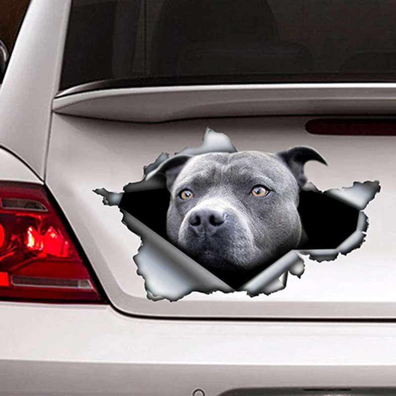 

Blue Pitbull Car Sticker Torn Metal Decal Reflective Sticker Waterproof Car Styling Pet Auto Motorcycles Decoration