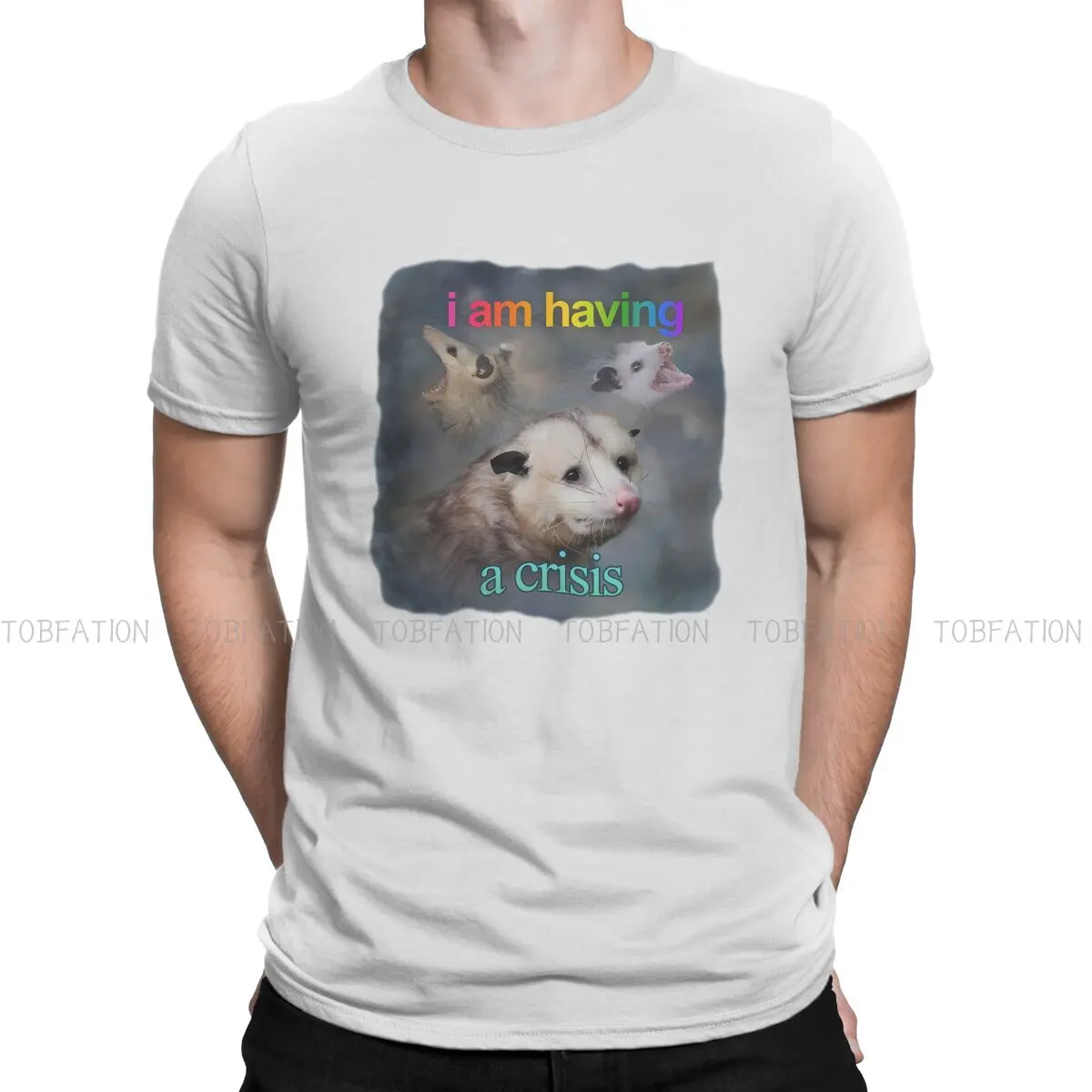 

I Am Having A Crisis possum Word Art O Neck TShirt Fabric Original T Shirt Men Tops Individuality Hot Sale