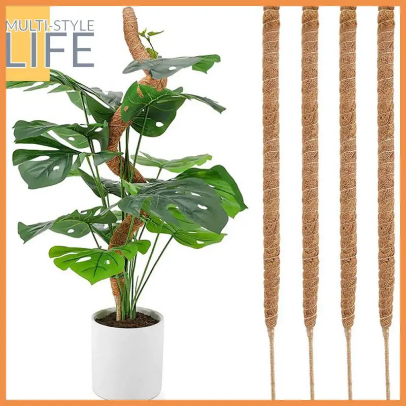 

The Gift Of Nature Exquisite Process Climbing Bracket Natural Fiber Shaped Green Apple Gardening Silk Clear Climbing Frame