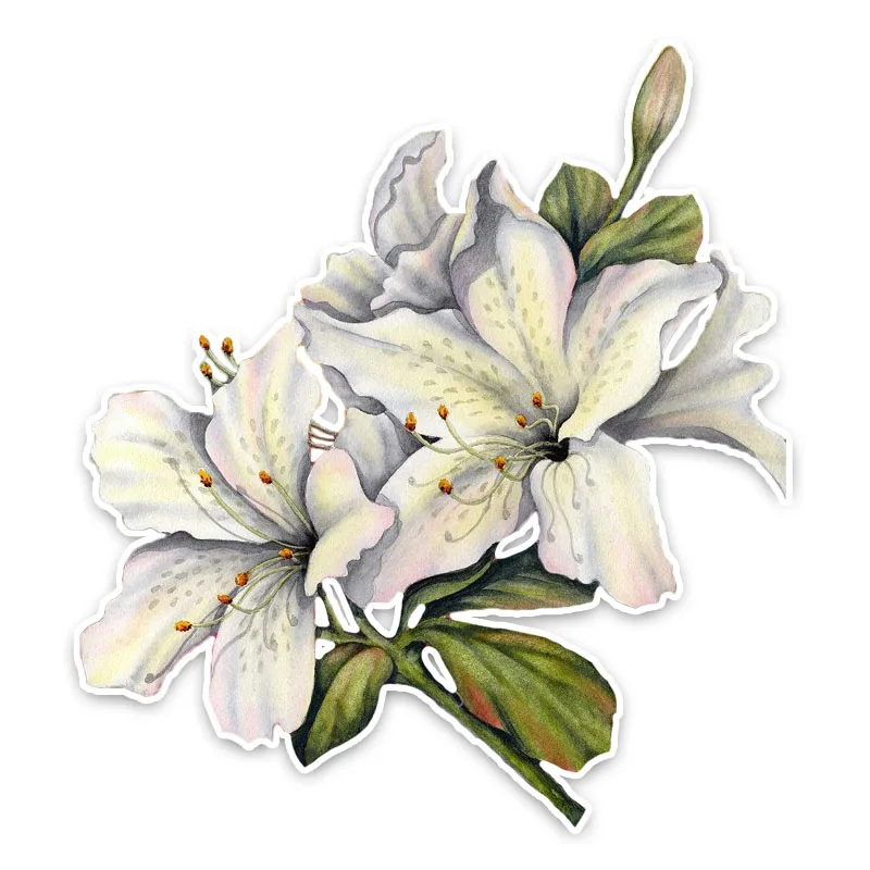 

Interesting Lily Flower Decor Cre Ative Stickers High Quality Bumper Trunk Headlight Car Window PVC 12X11CM