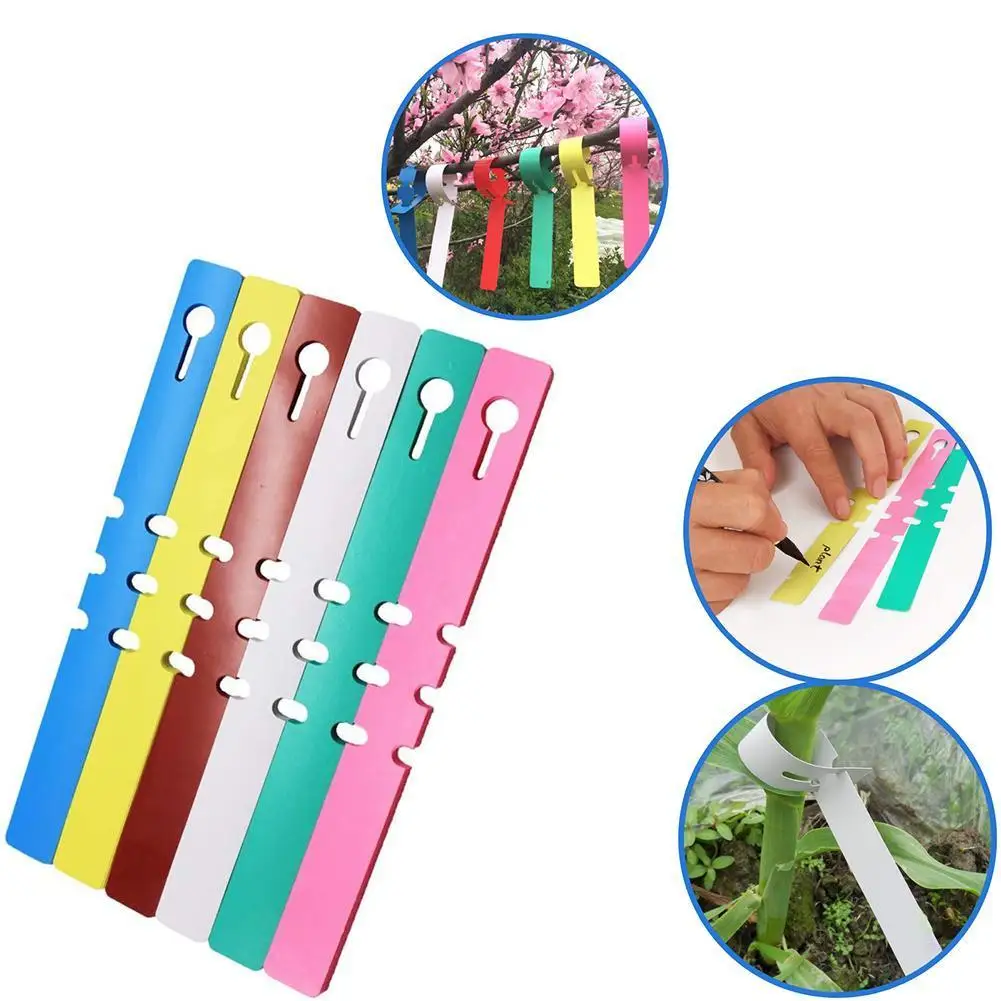 

100 шт., подвесные маркеры для рассады, фруктовых деревьев