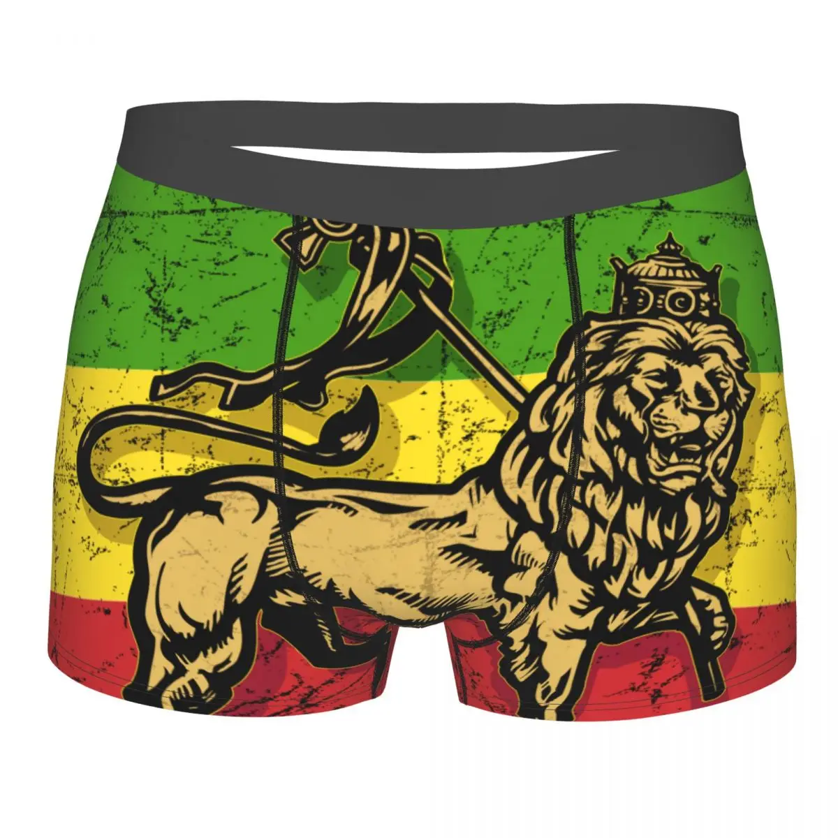 Mens Boxer Sexy Underwear Lion Of Judah Flag Underpants Male Panties Pouch Short Pants