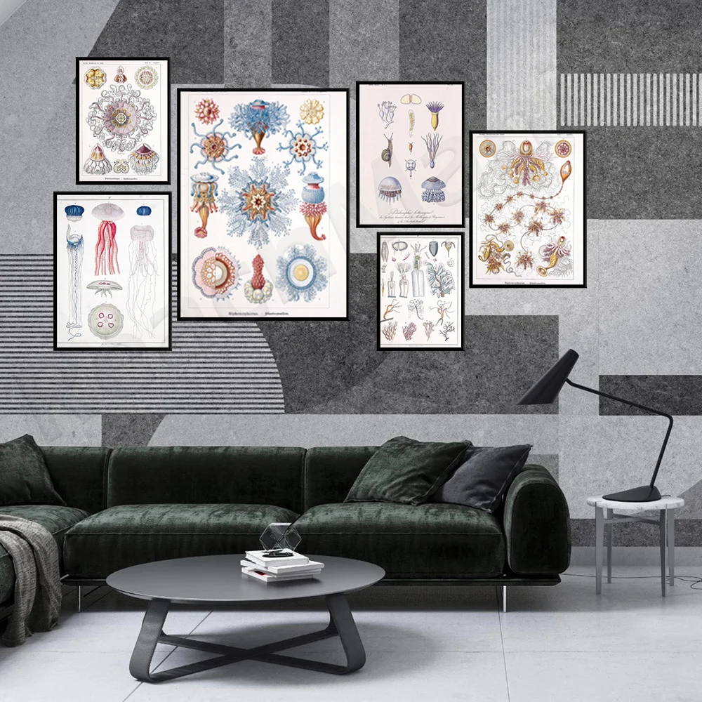 

Jellyfish, Blue Jellyfish, Vintage Drawing, Science Drawing, Marine Biology, Ocean, Nautical, Science,