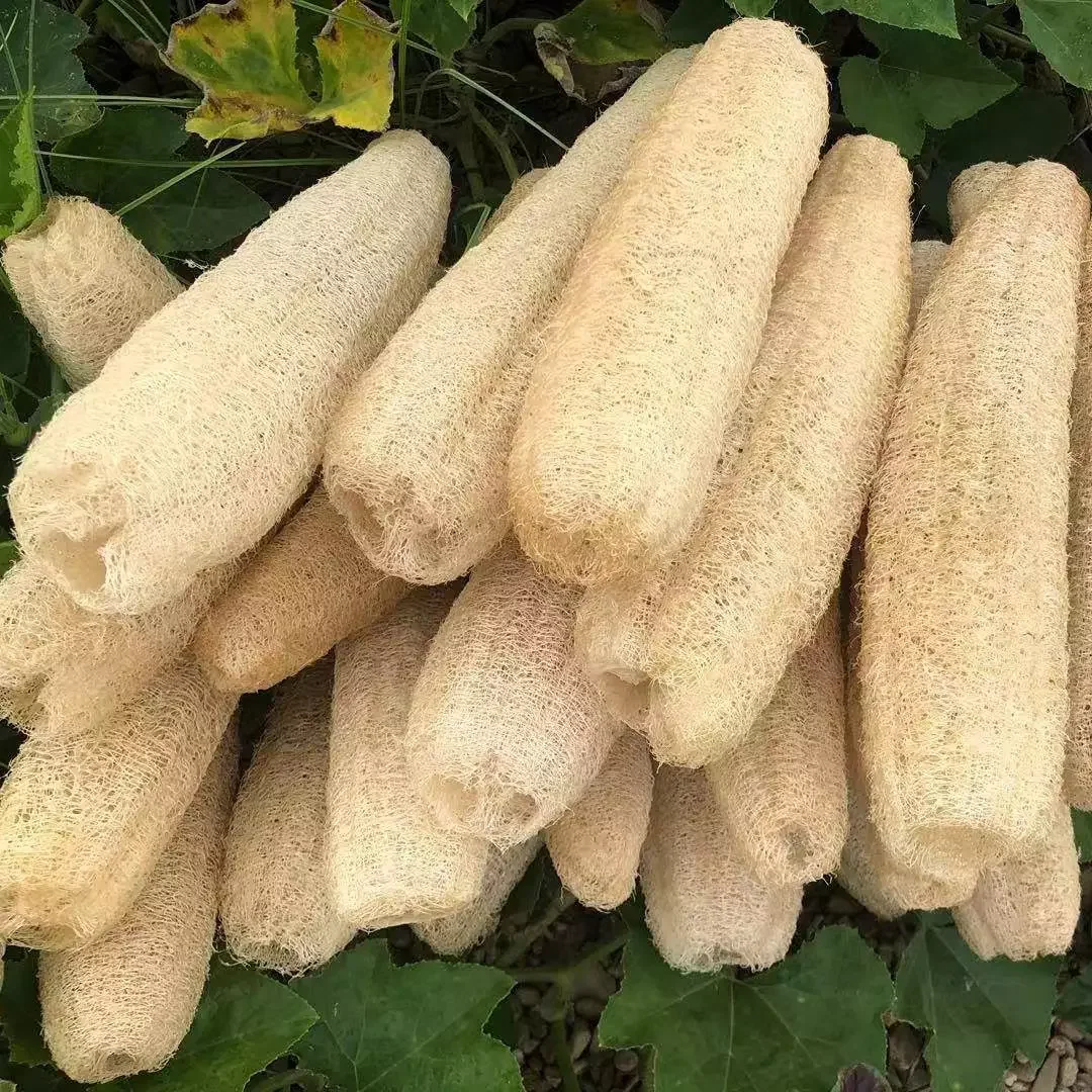 

5 PCS Natural Organic Kitchen Loofah Sponges Large Body Back Scrubber for Men Women Adults SPA Beauty Bathing Daily Care
