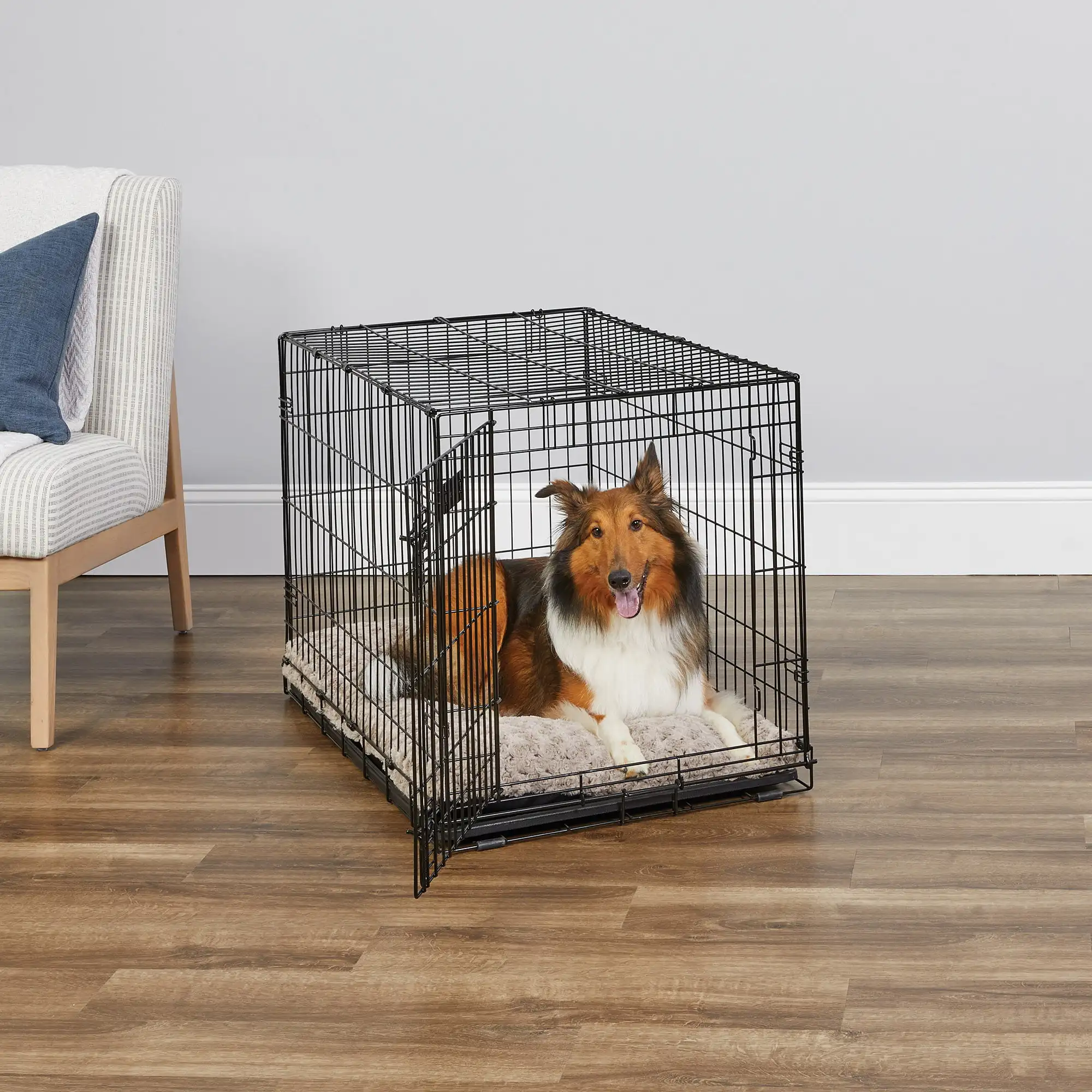 

Newly Enhanced Single Door iCrate Dog Crate, Includes Leak-Proof Pan, Floor Protecting Feet, Divider Panel & New Patented,