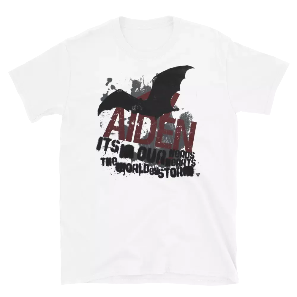 Футболка AIDEN с надписью World By Storm