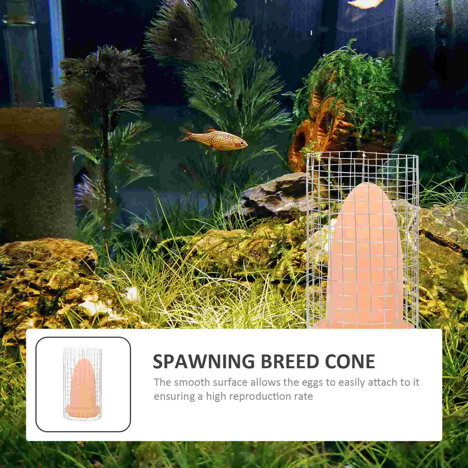 Купить Breeding Fish Cone Spawning Bucket Angelfish Breed Discuscave