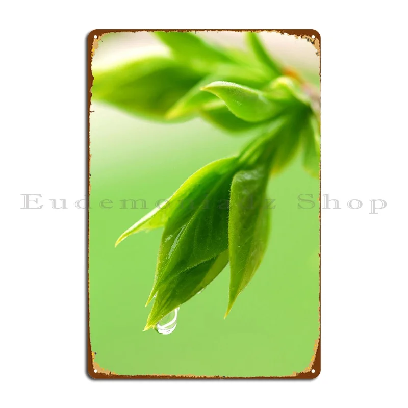 

Зеленая ферма, металлическая фотография