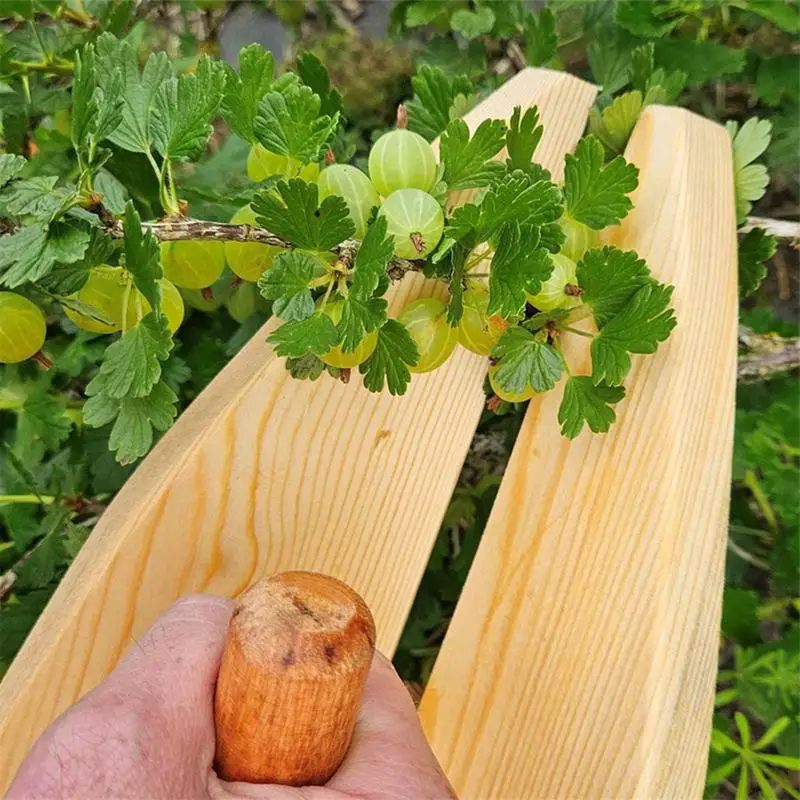 Палочка для собирания черники деревянная палочка сбора ягод инструменты на
