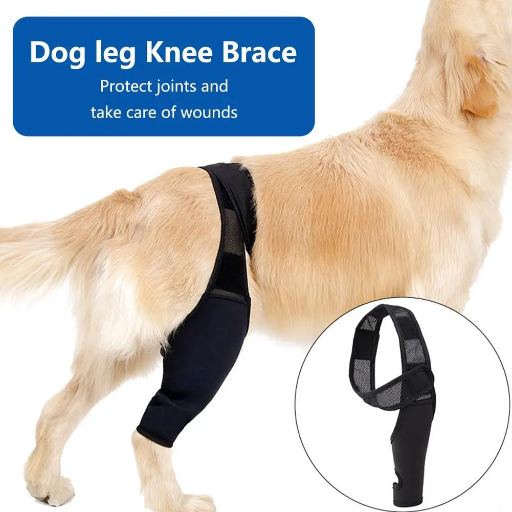 

Pet Dog Knee Brace Support Dog Injuries Leg Knee Brace Strap Protection For Dogs Joint Feet Cover Leg Wrap Dogs Accessories
