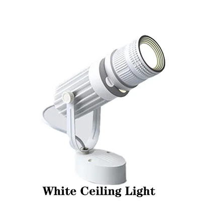 

IWP Потолочный спот с регулируемым фокусом