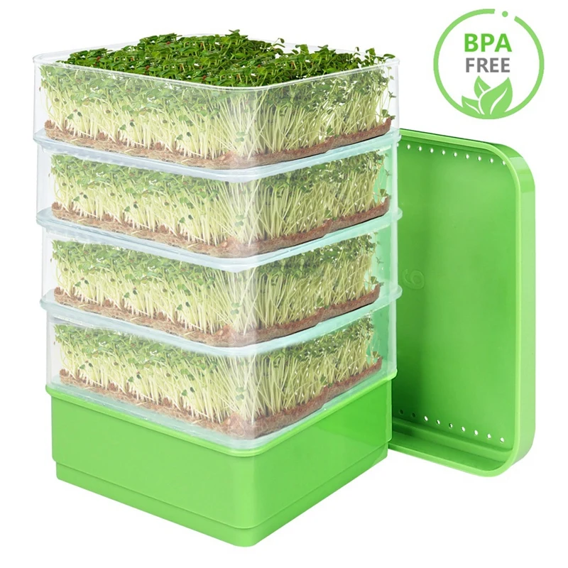 Набор для прорастания семян фасоли лоток выращивания растений Micro-Green слива