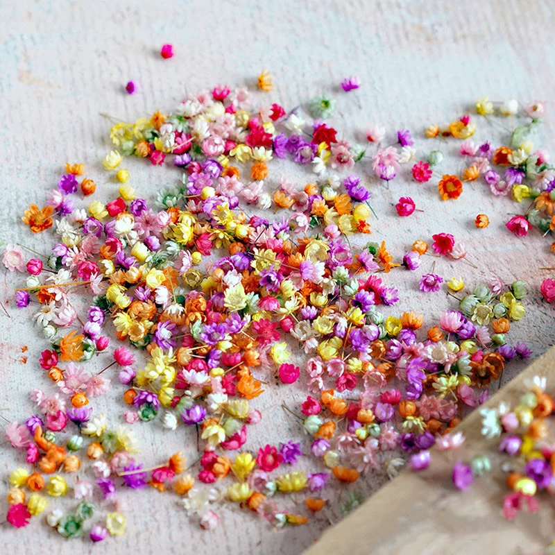 Красивые настоящие сушеные цветы сделай сам искусство изготовление свечей из