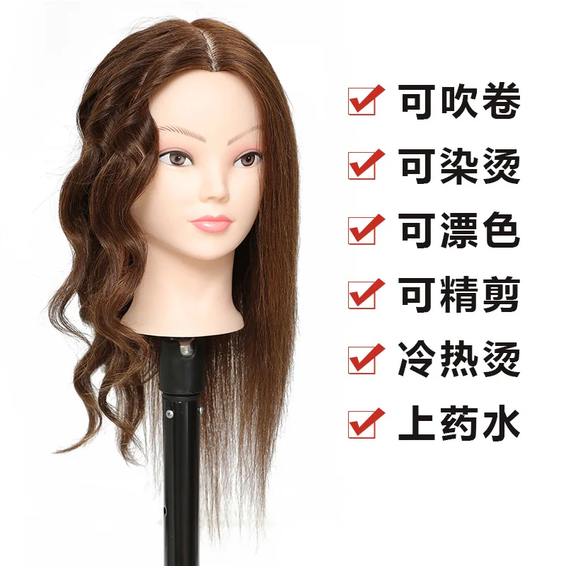Модель головы из 100% реальных волос модель для парикмахерской практики
