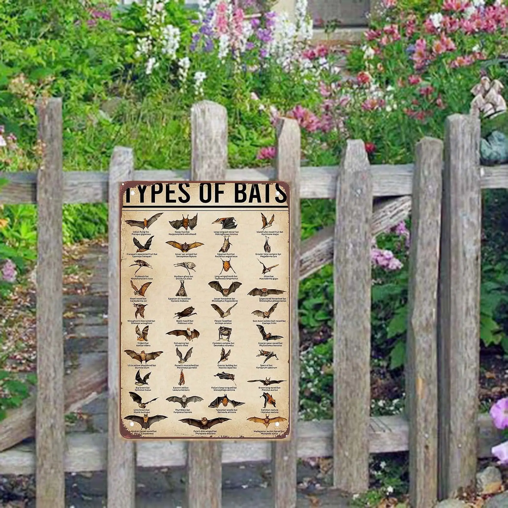 Забавные знаки диетика Я не волшебник для диетолога металлический жестяной знак