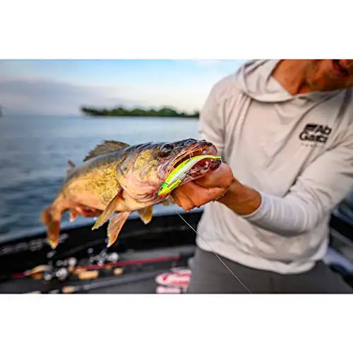 

Minnow Soft Bait