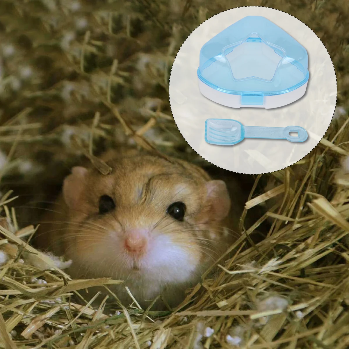 

Hamster Bath Sand Bathroom Chinchilla Gerbil House Tub Room Box Animals Small Dishaccessories Litter Toilet Case Bathtub