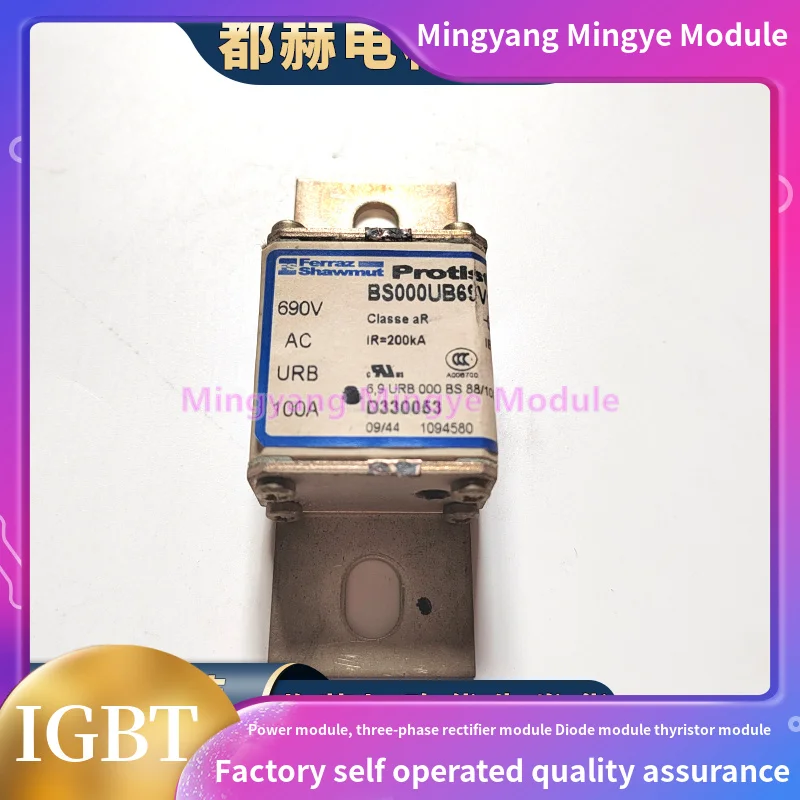 

FuseBS000UB69V100 690V 100A