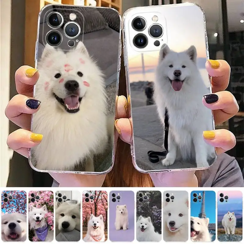 

Lovely Samoyed dog Phone Case For iPhone 8 7 6 6S Plus X SE 2020 XR XS 14 11 12 13 Mini Pro Max Mobile Case
