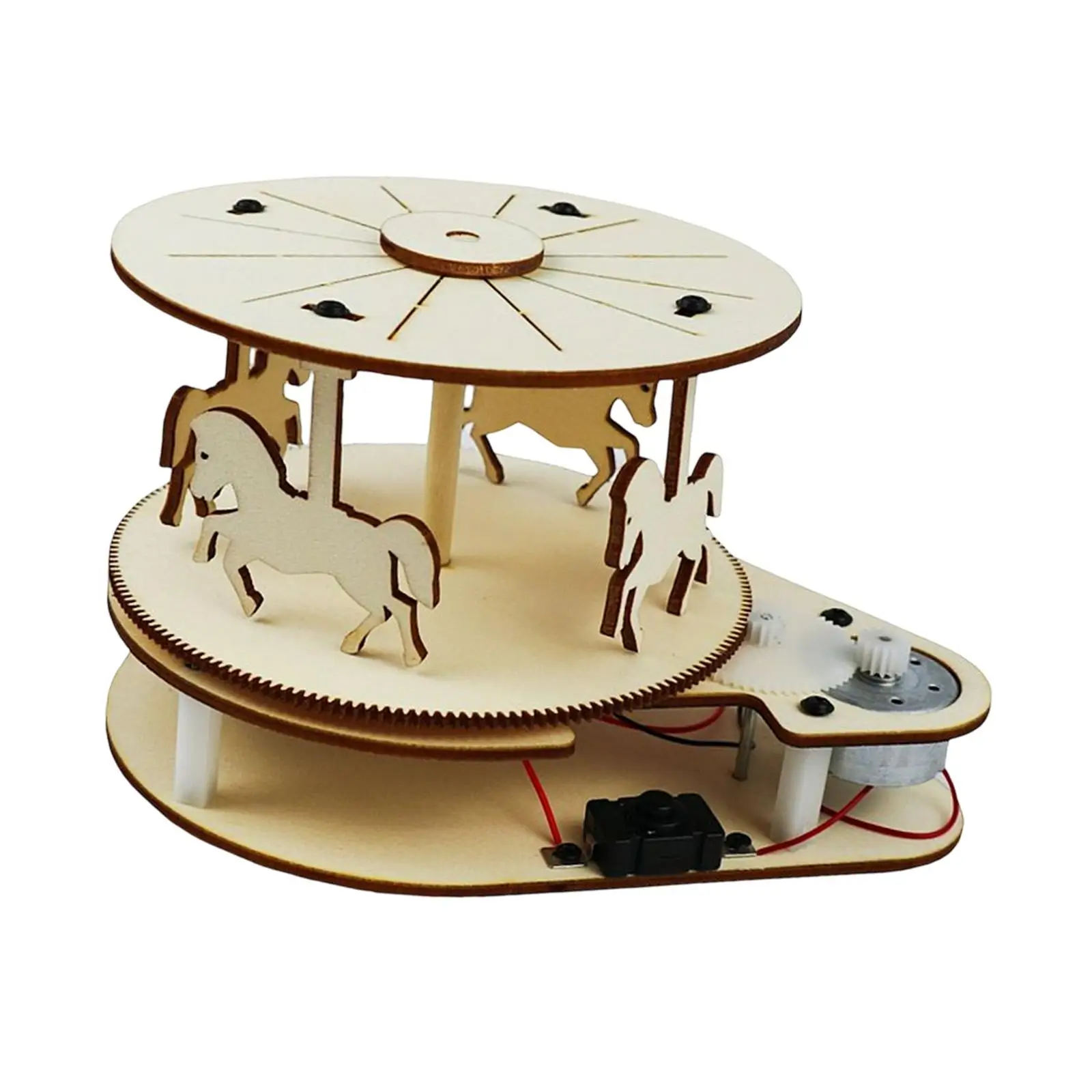 

Home Wooden Science Experiment Set Handmade Educational Toy Carousel Gift