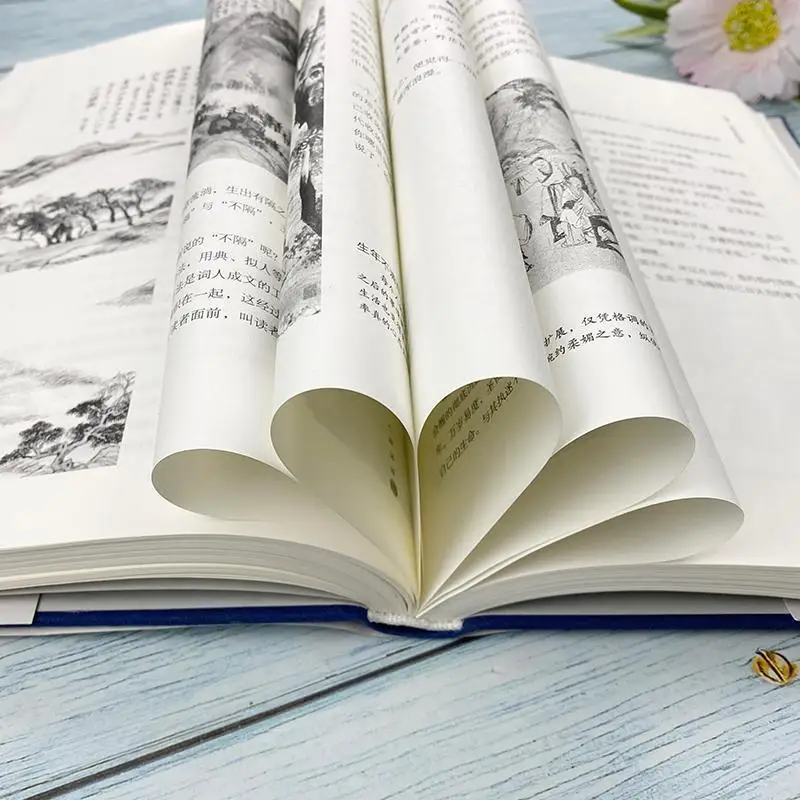 Рисунок 6 - Книга китайской классической литературы