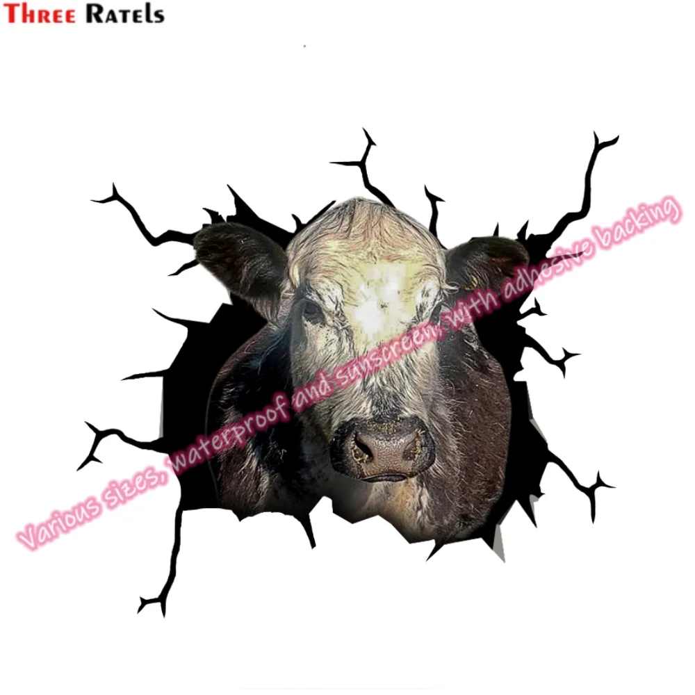 Автомобильные виниловые наклейки Three Ratels для Audi Q5 Аксессуары автомобилей Renault Megane