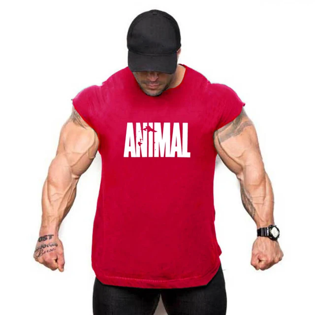 футболка бодибилдинг. одежда для бодибилдинга в москве. одежда для бодибилдинга в москве. спортивная одежда мужская. одежда для бодибилдеров.