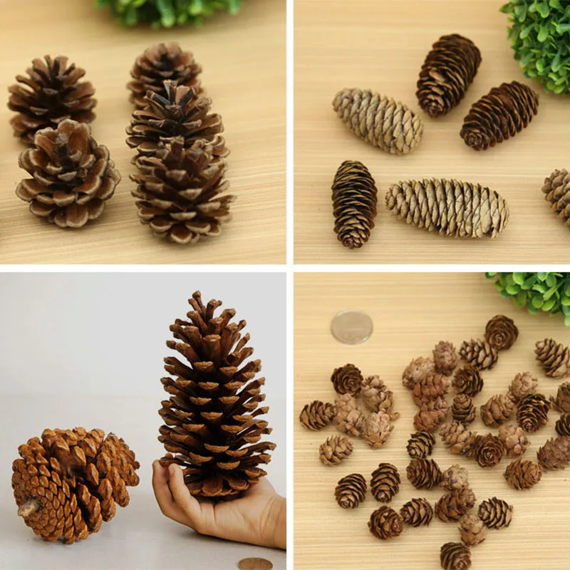 

1-50PCS Nature of Dried pine cone 4 style all size Natural Autum Wedding Birthday Christmas Thanksgiving Event DIY Home deco