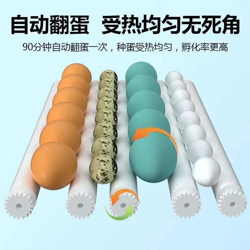 Инкубатор для кур уток гусь голубь Rudin