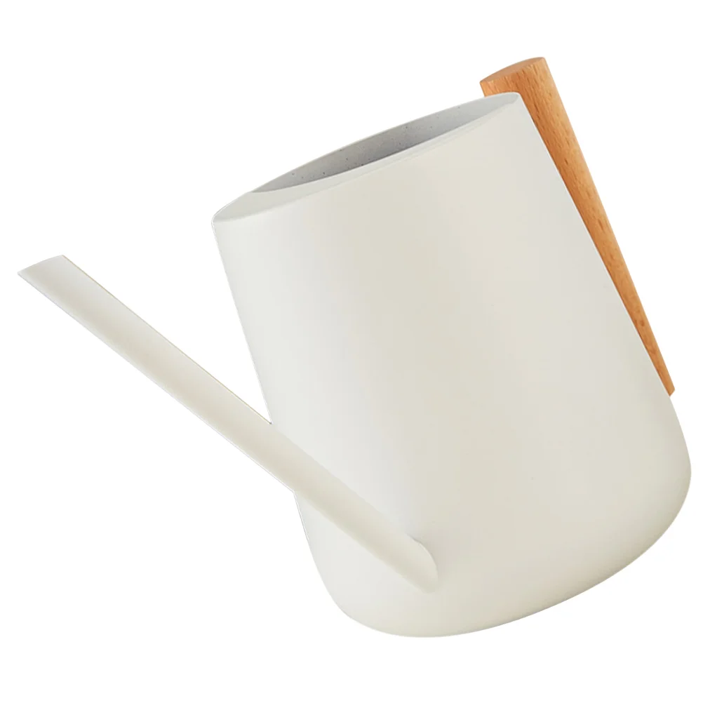 

Metal Watering Can Long Spout Indoor Plants Houseplants Succulents Cans Garden Bottles Iron Outdoor