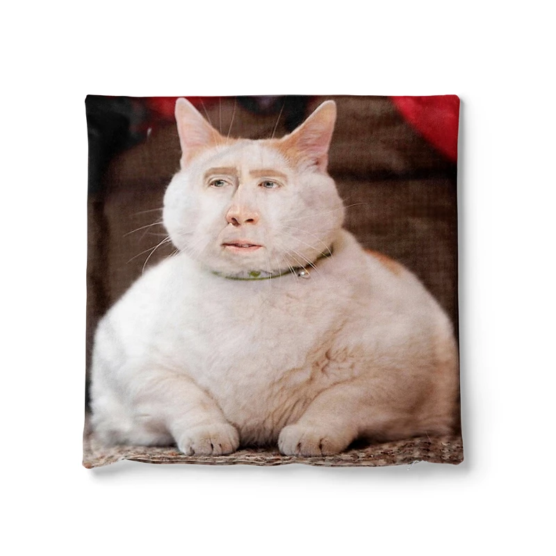 Наволочки Gaslight Gatekeep для дивана 45x45 см