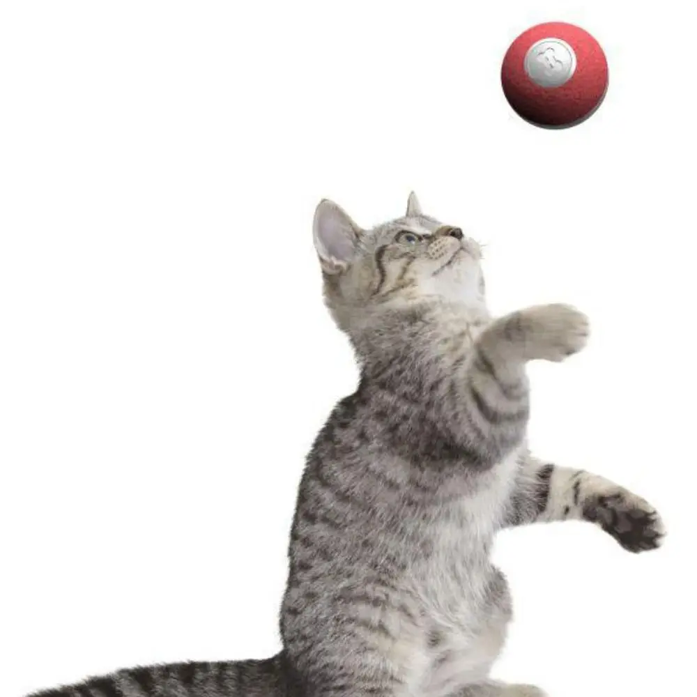 

New Indoor Moving Automatic Wicked Ball Self Rotating Ball Bouncing Rolling Ball Interactive Cat Toy