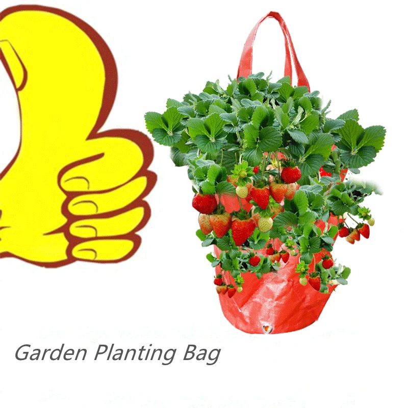 3 галлона садовый мешок для посадки пакеты выращивания клубники подвесной горшок