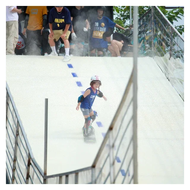 Летняя искусственная снежная спортивная поверхность СНЕЖНАЯ МОKEY Сухой лыжный