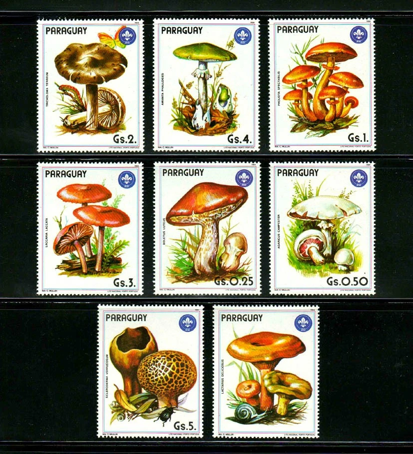

8 шт., Парагвай, 1984, штампы с грибами, штампы с растениями, настоящий оригинал, высокое качество, коллекция штампов
