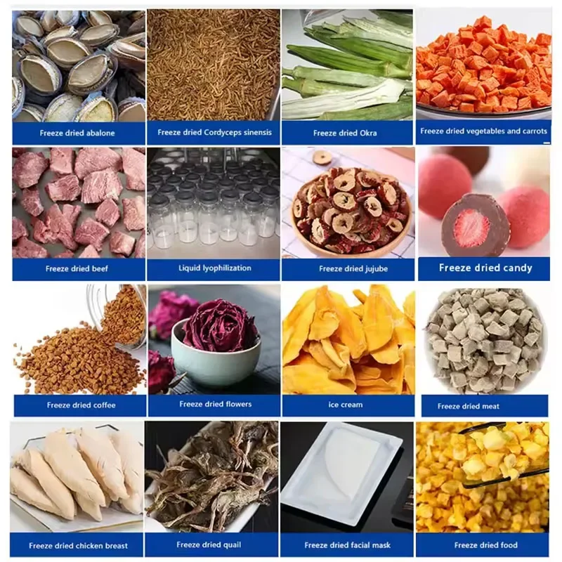 Небольшая сушильная машина для фруктов и лиофилизатор конфет цветов молока с