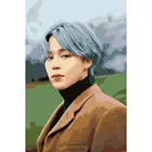 Картина по номерам BTS Чимин Эстетика, 30 х 40 см