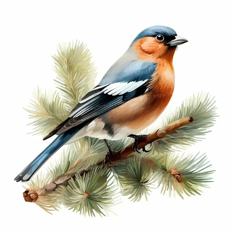 

Настенная наклейка Chaffinch М852