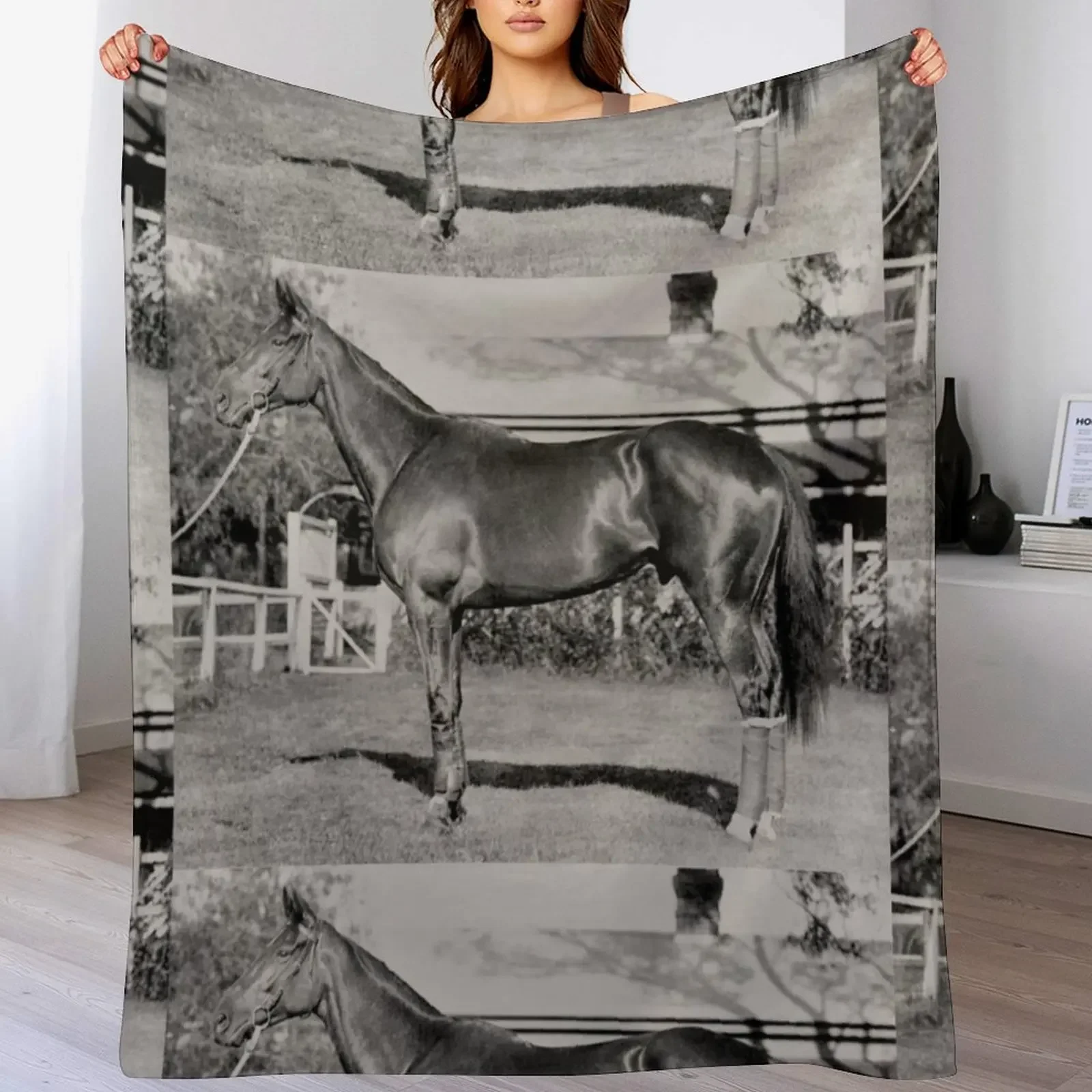 Чемпион австралийской гоночной лошади Phar Lap. Плед плед на диван Симпатичные