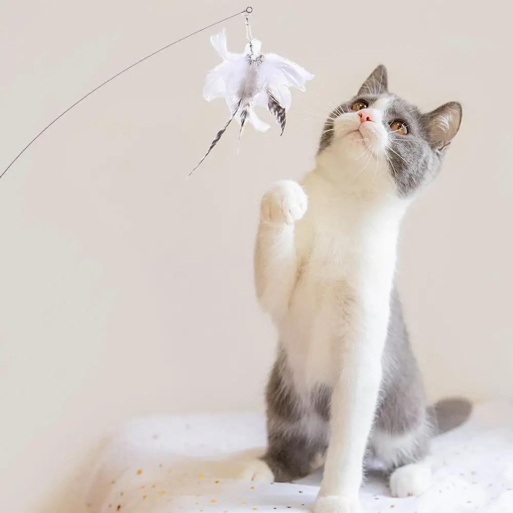 

Cat Toys Simulation Bird interactive Cat Toy Funny Furry Feather Bird with Bell Cat Stick Toy for Kitten Playing Teaser Wand Toy