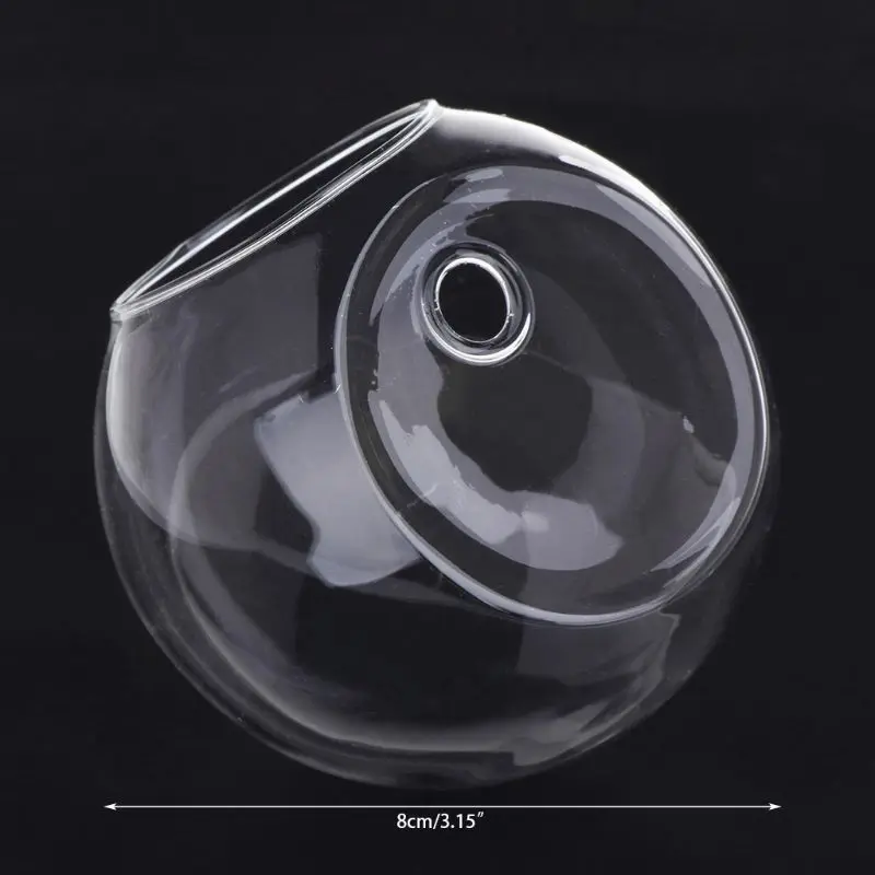 

Glass Vase Wall Hanging Hydroponic Terrarium Fish Tanks Potted Plant Flower pot