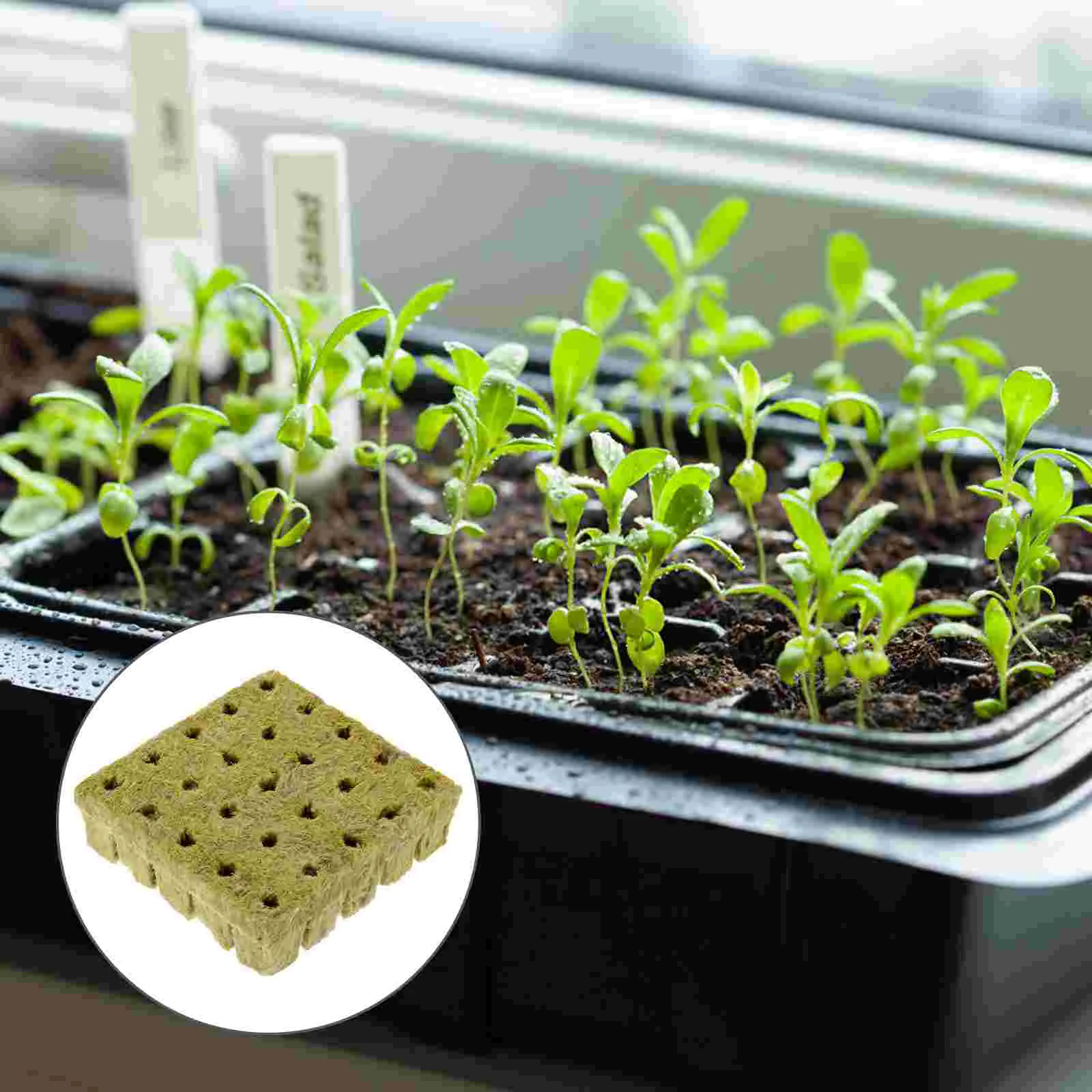 

Cutting Block Nutrient Soilless Cultivation Seedlings Garden Mineral Wool