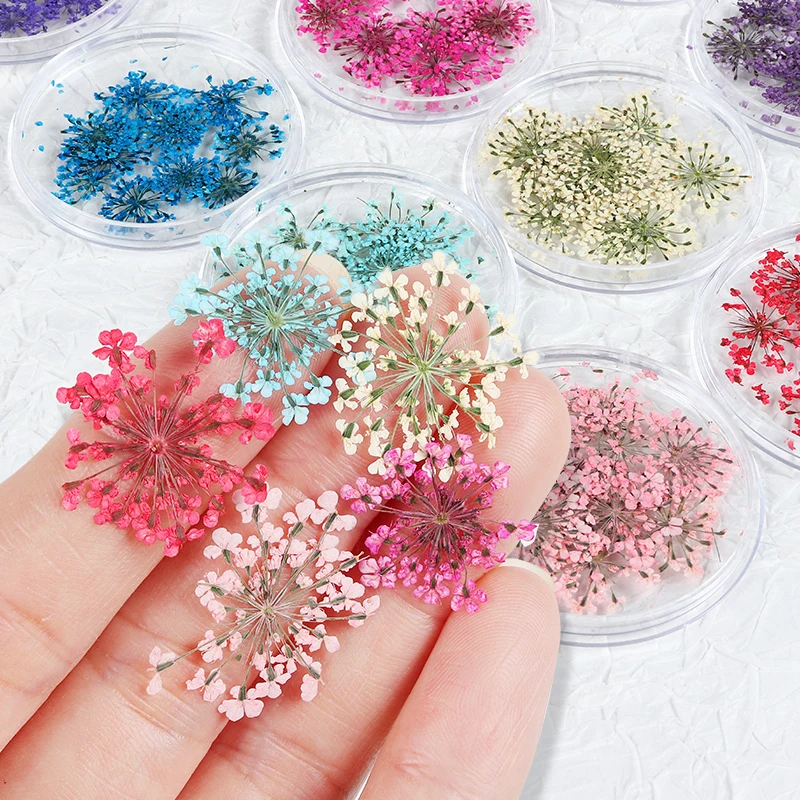

100Pcs/10Color Set Dried Flowers Nail Art Charms Decorations Natural Dry Floral Manicure Accessories Supplies for UV Nails Tips