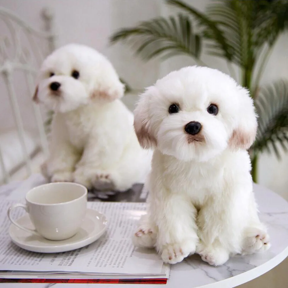 

Creative Cute Simulation Animal Maltese Dog Children Stuffed Plush Toy Birthday Christmas Gifts Birthday Gifts