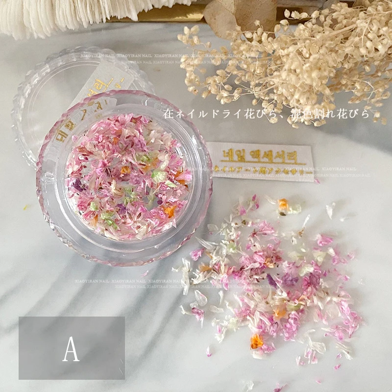 

Dried Flowers Nail Art Resin Mold Fillings Flower for Pressed Flower Nails Accessories 3d Charms DIY Nail Decorations
