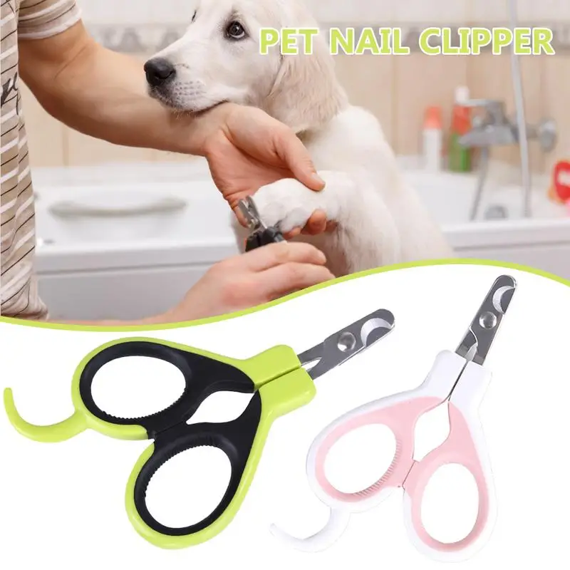 

Hot Products Pet Specialty Dogs Cats Nail Scissors Cats Cats Bloodline Novice Rabbit Nail Clippers Nail Cat Claw Pliers Supplies